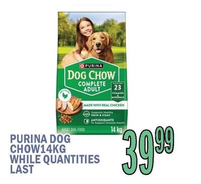 PURINA DOG CHOW