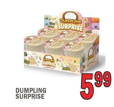 DUMPLING SURPRISE