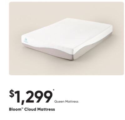 Bloom™ Cloud Mattress