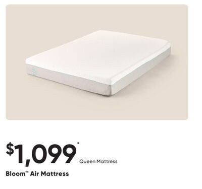 Bloom™ Air Mattress