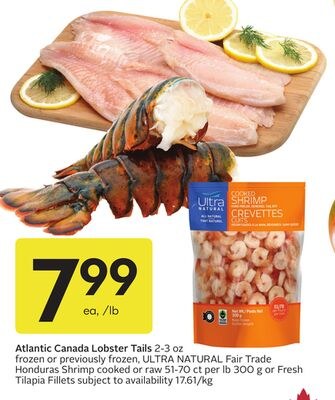 Atlantic Canada Lobster Tails