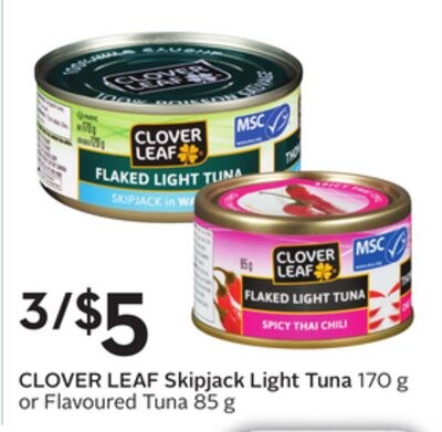 Skipjack Light Tuna