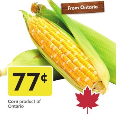 Corn