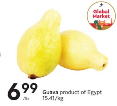 Guava
