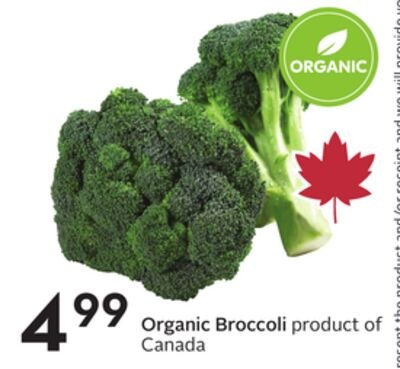 Organic Broccoli