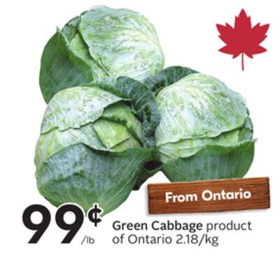 Green Cabbage