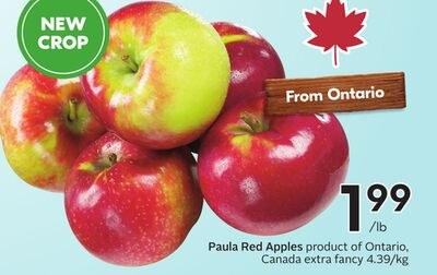 Paula Red Apples