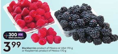 Blackberries