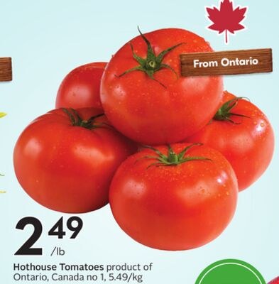 Hothouse Tomatoes