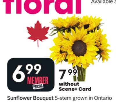 Sunflower Bouquet