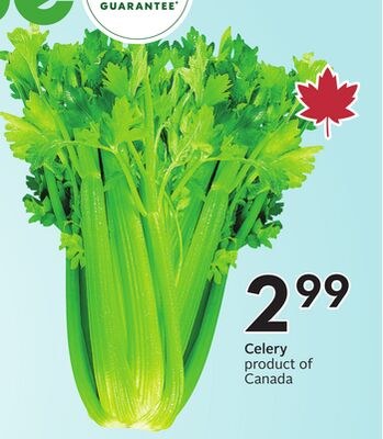 Celery