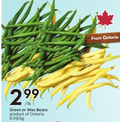 Green or Wax Beans