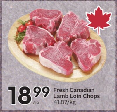 Fresh Canadian Lamb Loin Chops