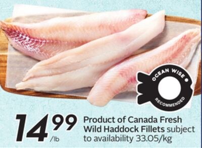 Product of Canada Fresh Wild Haddock Fillets