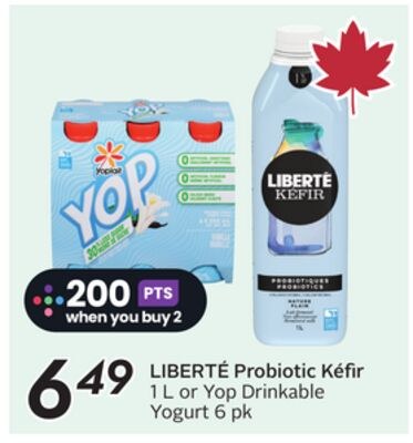 LIBERTÉ Probiotic Kéfir