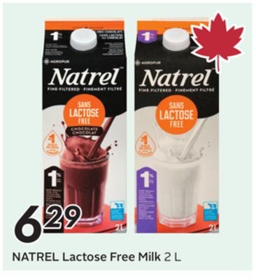 Lactose Free Milk
