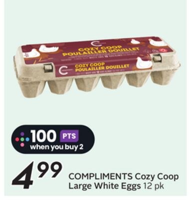COMPLIMENTS Cozy Coop Large White Eggs