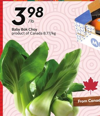 Baby Bok Choy