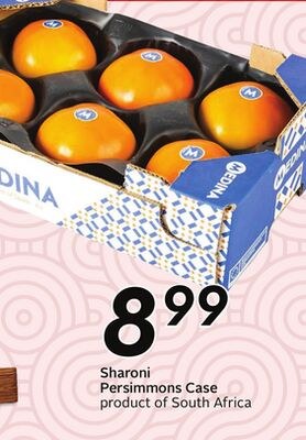Persimmons Case