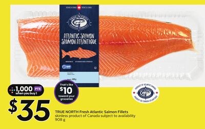 Fresh Atlantic Salmon Fillets