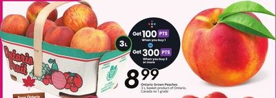 Ontario Green Peaches - Peach Fest