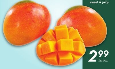 Maya Mangoes