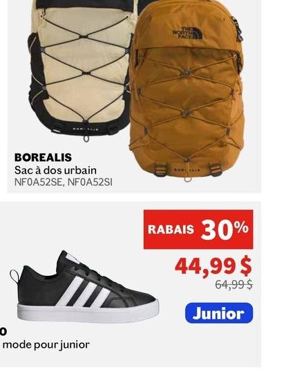 The North Face Borealis Backpack