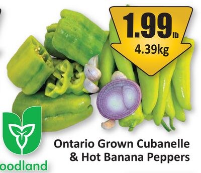 Ontario Grown Cubanelle & Hot Banana Peppers