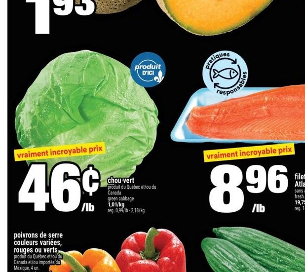Gros melon cantaloup