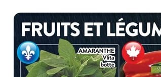 Amaranthe Vita Bota