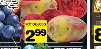 Cantaloup