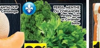 Avocats