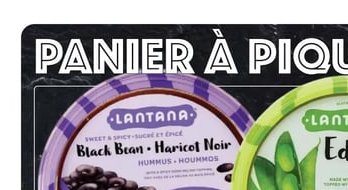 Lantana Black Bean Haricot Noir