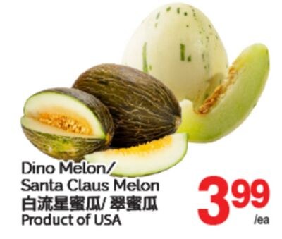DINO MELON/SANTA CLAUS MELON