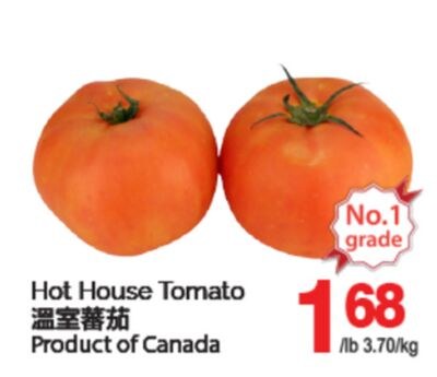 HOT HOUSE TOMATO