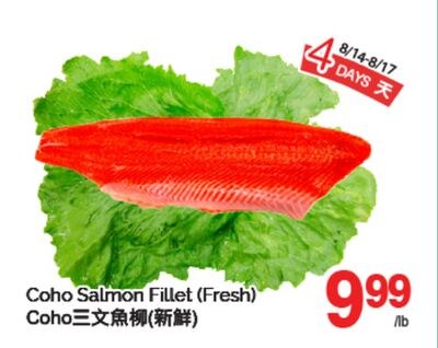 COHO SALMON FILLET (FRESH)