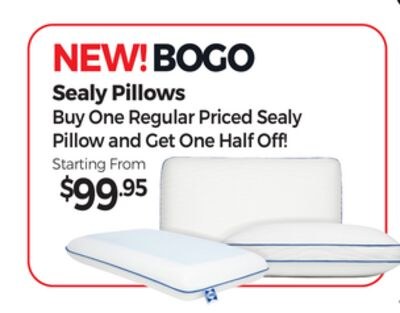 Sealy Pillows