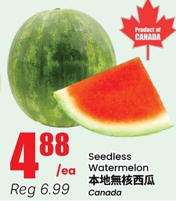 Seedless Watermelon