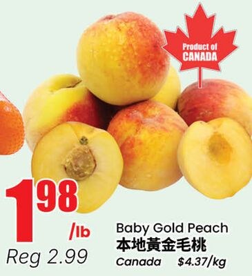 Baby Gold Peach