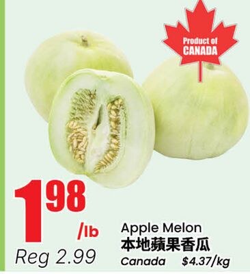 Apple Melon