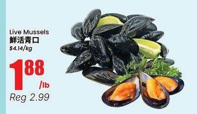 Live Mussels