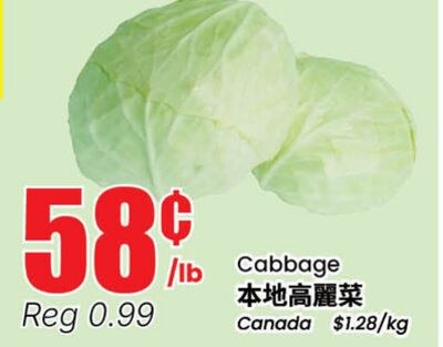 Cabbage