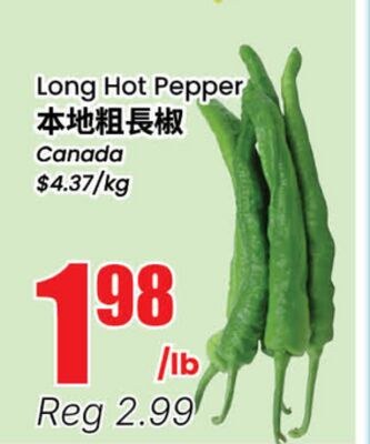 Long Hot Pepper
