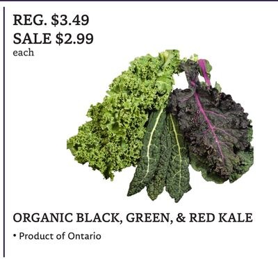 ORGANIC BLACK, GREEN, & RED KALE