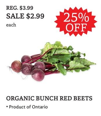 ORGANIC BUNCH RED BEETS