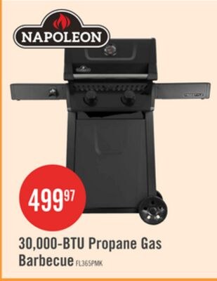 Napoleon 365 30,000-BTU 2-Burner Propane Gas Gr…