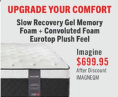 Springwall Encore Imagine Eurotop Plush Queen M…