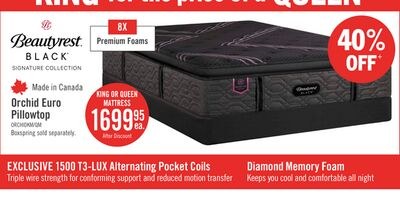 Beautyrest Black Signature Orchid Euro Pillowto…