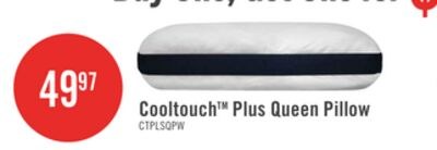 Masterguard® Cooltouch™ Plus Queen Pillow