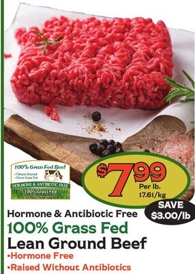 Hormone & Antibiotic Free 100% Grass Fed Lean G…